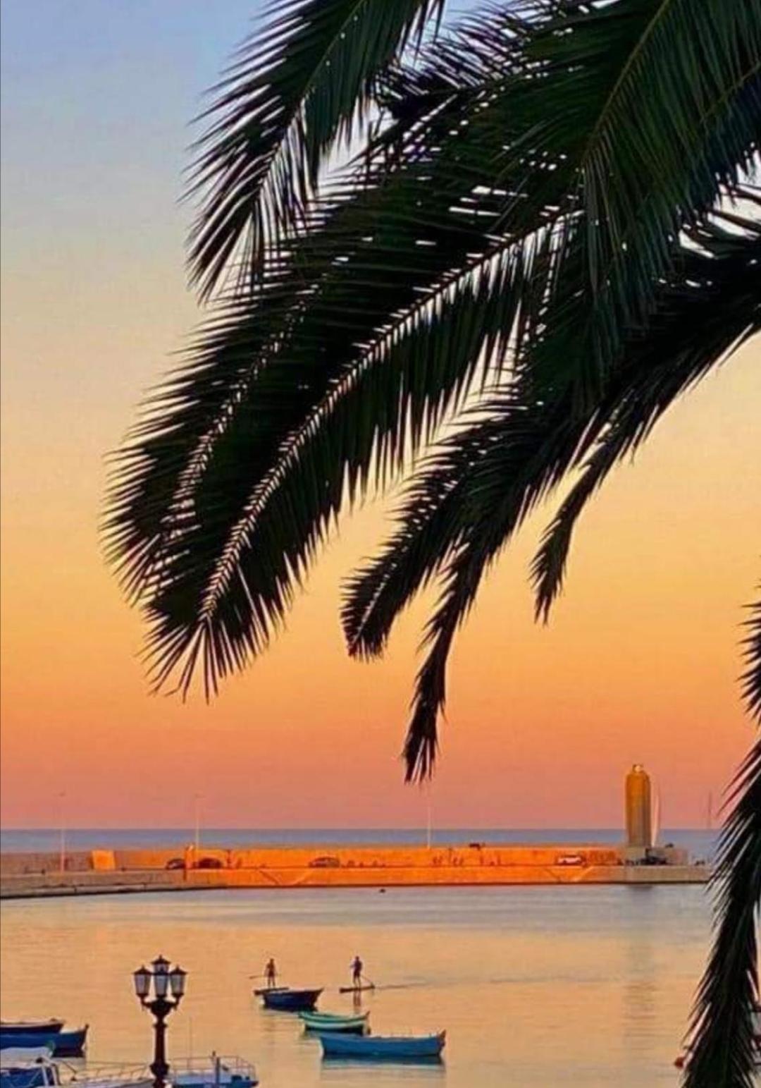 Summer Paradise Bari Szoba fotó